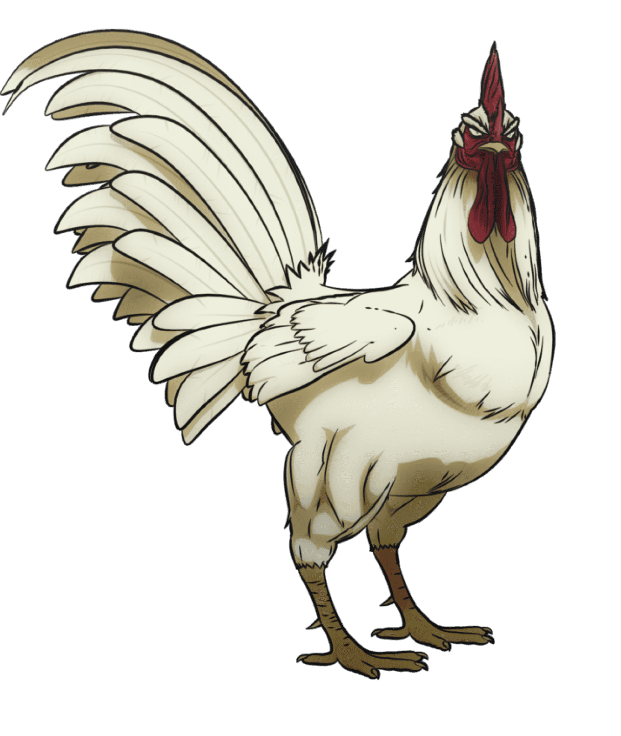 Rooster